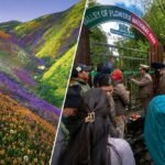 vally-of-flowers.jpg